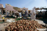 Ghardaia