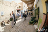 Ghardaia