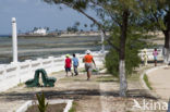 Ilha de Mozambique