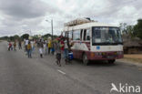 Ilha de Mozambique