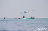 Ilha do Paraiso