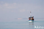 Ilha do Paraiso