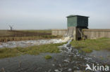 Lage land van Texel