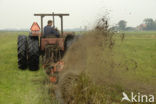 Lage land van Texel