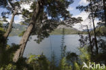 Lago Nahuel Huapi