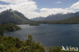 Lago Nahuel Huapi