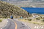 Lago Nahuel Huapi