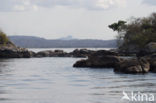 Lake Malawi National Park