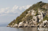 Lake Malawi National Park