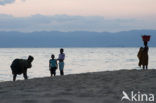 Lake Malawi National Park