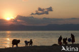 Lake Malawi National Park