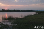 Liwonde National Park