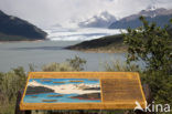 Los Glaciares National Park