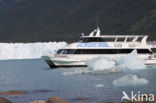 Los Glaciares National Park