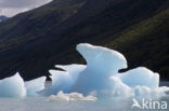 Los Glaciares National Park