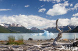 Los Glaciares National Park