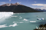 Los Glaciares National Park