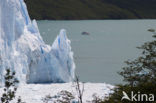 Los Glaciares National Park