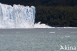 Los Glaciares National Park