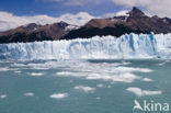 Los Glaciares National Park