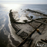 Maasvlakte