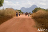 Nampula