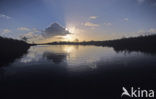 Nationaal Park De Alde Feanen