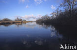 National Park De Alde Feanen