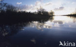 Nationaal Park De Alde Feanen