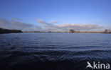 Nationaal Park De Alde Feanen