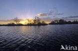 Nationaal Park De Alde Feanen