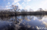 Nationaal Park De Alde Feanen