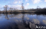 Nationaal Park De Alde Feanen