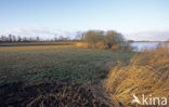 Nationaal Park De Alde Feanen