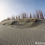 National Park Duinen van Texel