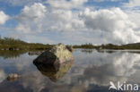 Nationaal Park Fulufjället