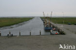 Nationaal Park Lauwersmeer