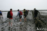 Nationaal Park Lauwersmeer