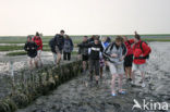 Nationaal Park Lauwersmeer