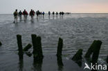 Nationaal Park Lauwersmeer