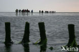 Nationaal Park Lauwersmeer