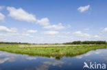 Nationaal Park Weerribben-Wieden