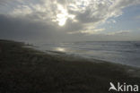 Northsea beach