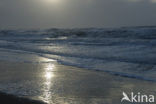 Northsea beach