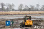 Oisterwijkse Bossen en Vennen