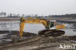 Oisterwijkse Bossen en Vennen