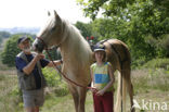 Paard (Equus spp)