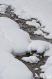 Parc National de La Vanoise