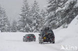 Vanoise National Park