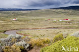 Perito Moreno National Park